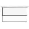 92in Diagonal 16:9 Automatic Projector Screen